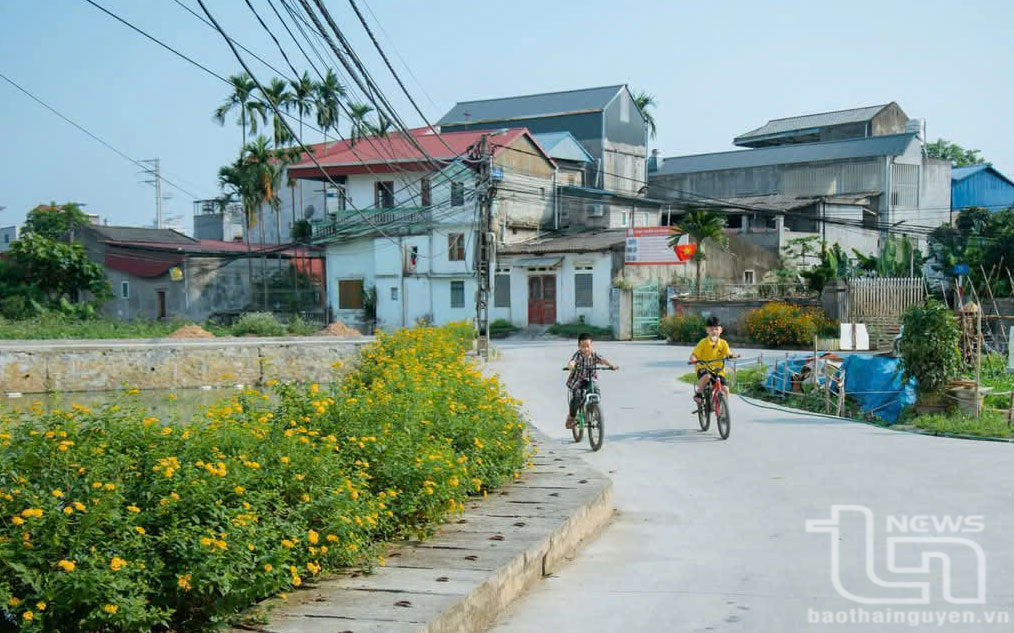 Một tuyến đường hoa tại xã Đồng Liên.