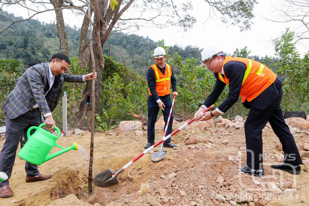 Ngành Giao thông Vận tải Thái Nguyên: Phát động Tết trồng cây Xuân Ất Tỵ