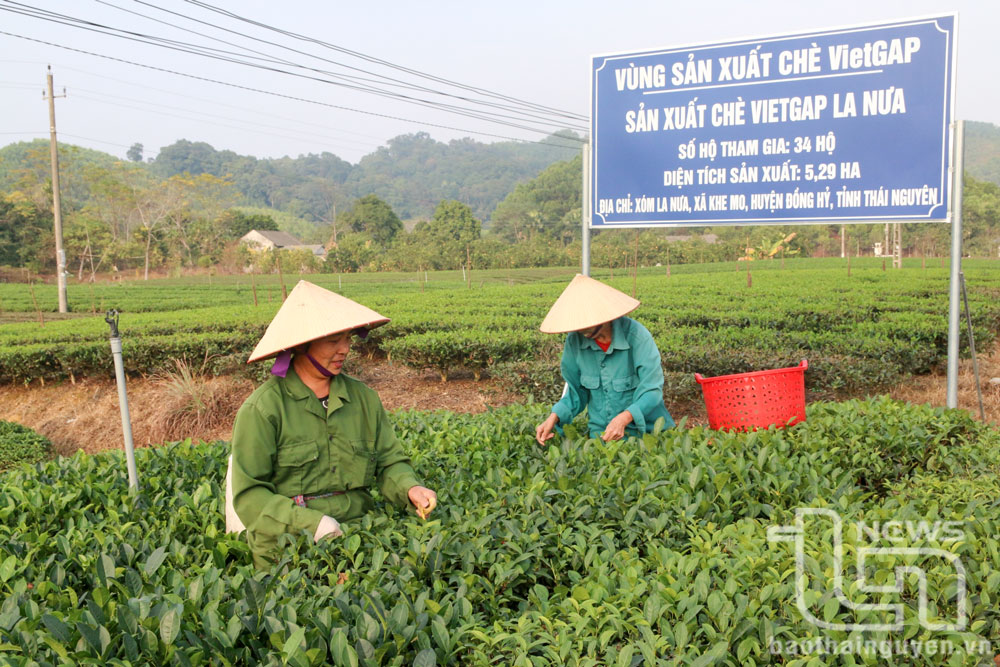 Xây dựng chi bộ mạnh để vượt khó