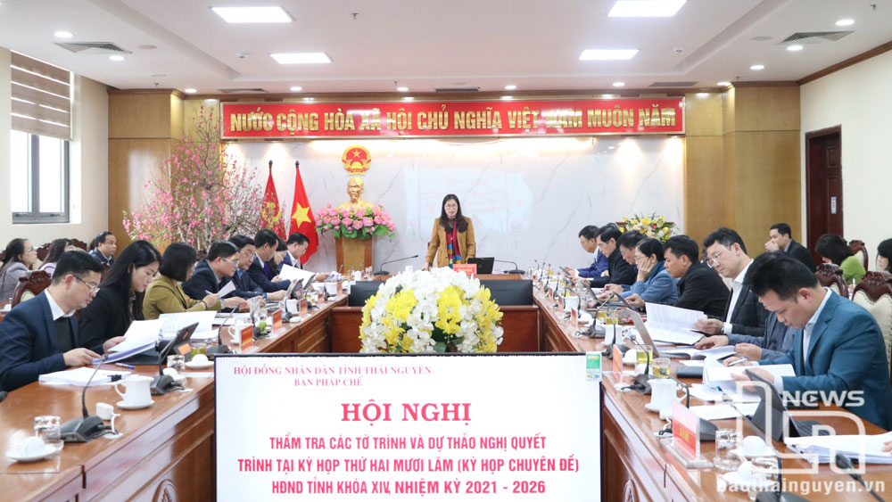Các đại biểu dự Hội nghị thẩm tra.