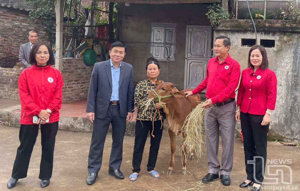 Hỗ trợ sinh kế cho nông dân