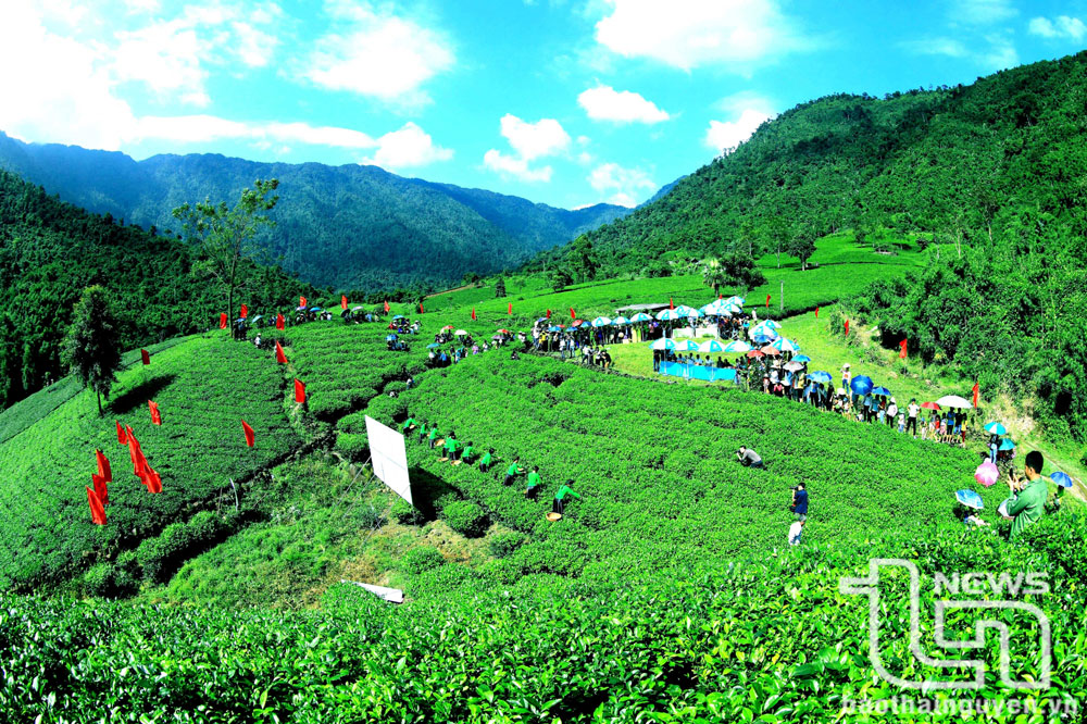 Vùng chè Tân Cương là một trong những nguồn cảm hứng sáng tác bất tận của các nhiếp ảnh gia và là điểm đến quen thuộc của đông đảo du khách trong và ngoài nước.