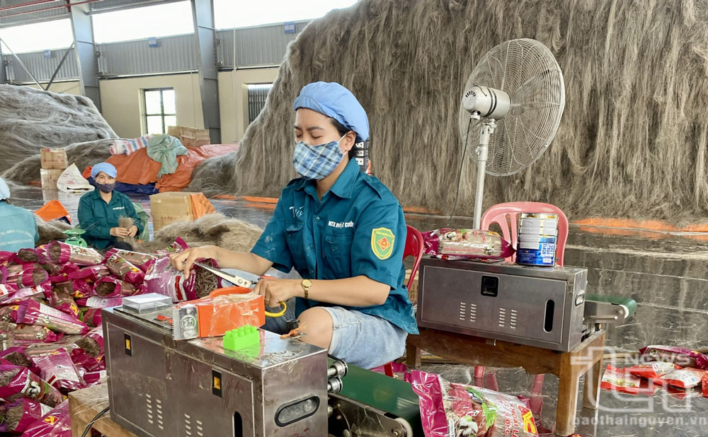 Vẫn khát vốn vay giải quyết việc làm