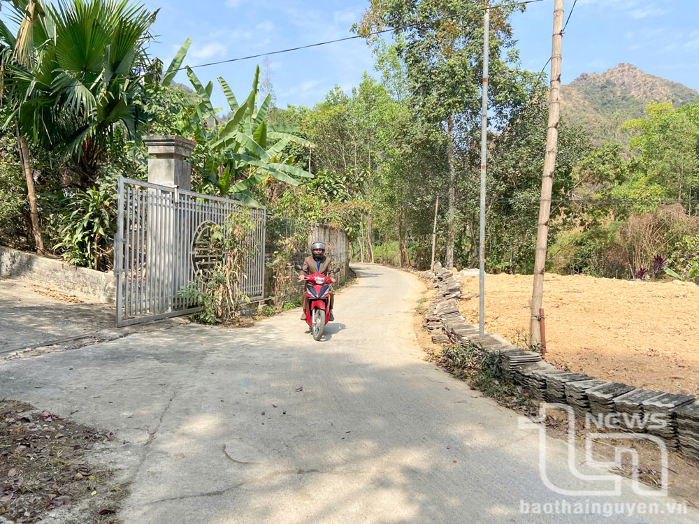Mạnh chi bộ, vững xóm làng