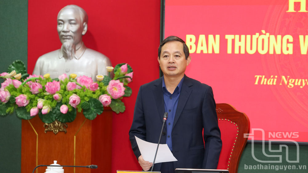 Đồng chí Phạm Hoàng Sơn phát biểu tại Hội nghị.