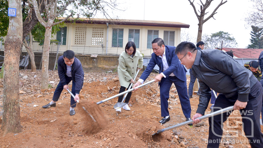 Phát động “Tết trồng cây đời đời nhớ ơn Bác Hồ”