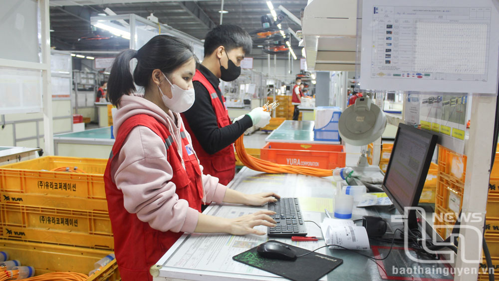 TP. Sông Công có trên 100.000 công nhân lao động. Đây là nguồn phát triển đảng dồi dào trong các doanh nghiệp. Trong ảnh: Công nhân lao động sản xuất tại Công ty TNHH HANSOL HARNESS VINA.