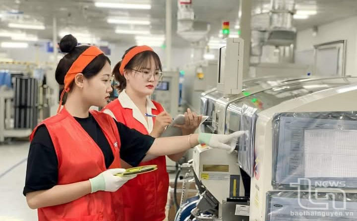 Rộn ràng không khí lao động đầu Xuân