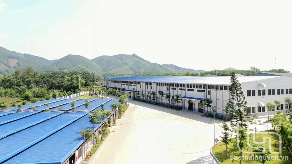 TNG hướng đến phát triển bền vững