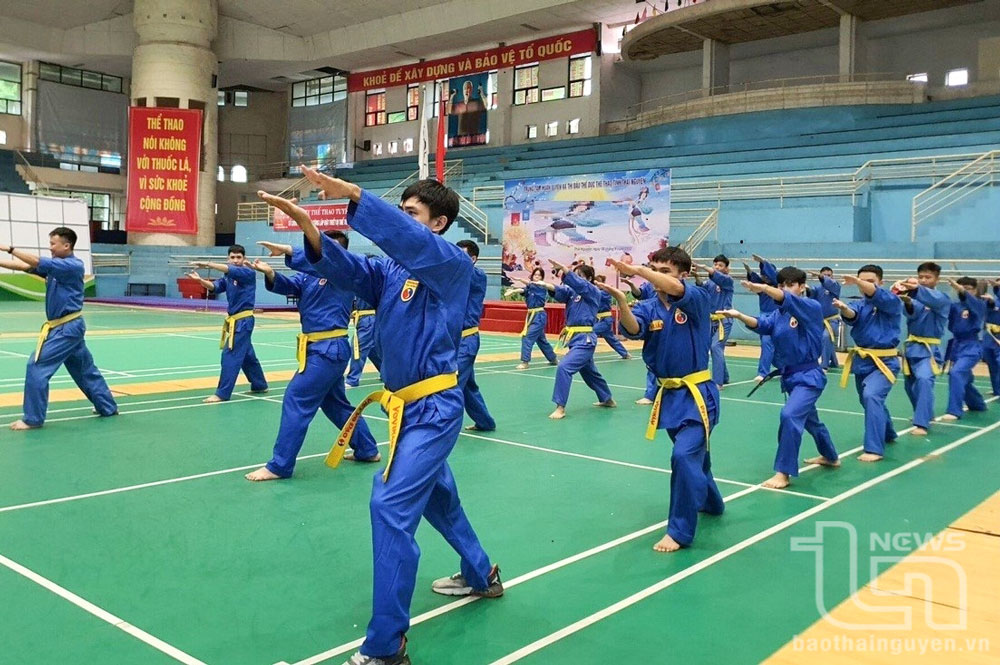 Hàng nghìn học sinh, sinh viên Thái Nguyên tham gia tập luyện với Vovinam.