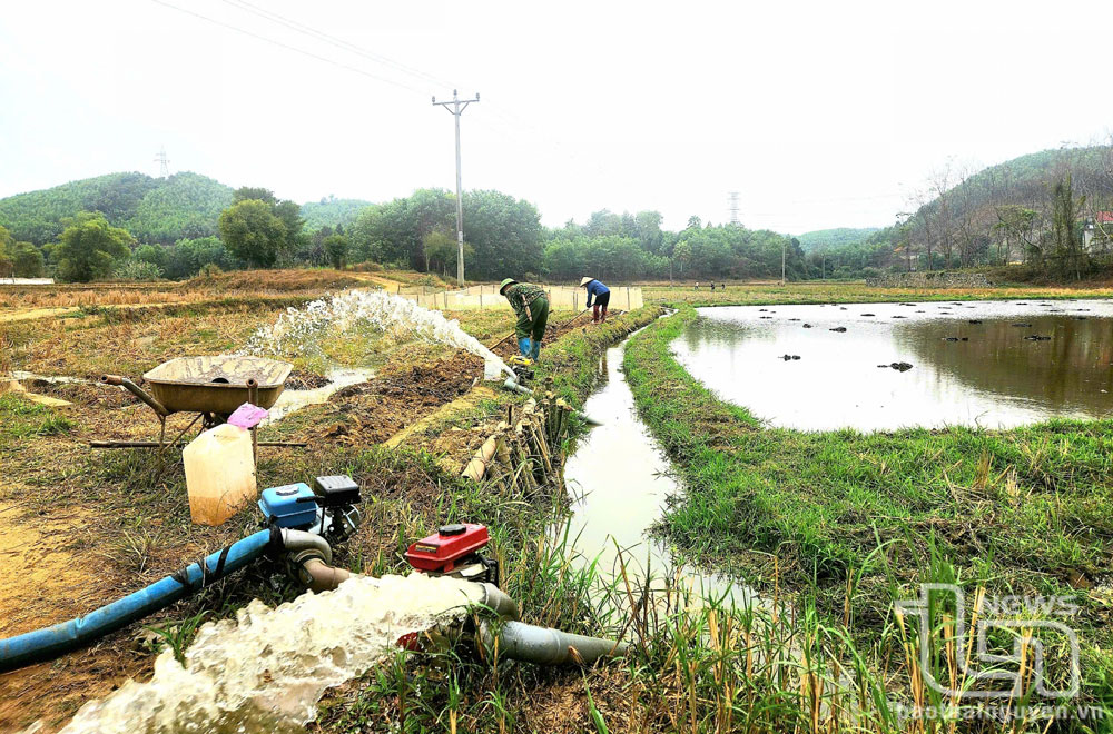 Phú Lương: Nông dân chủ động bơm nước gieo cấy lúa