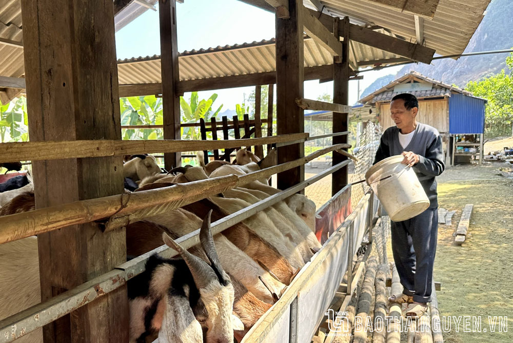 “Đầu tàu” ở Đồng Mây