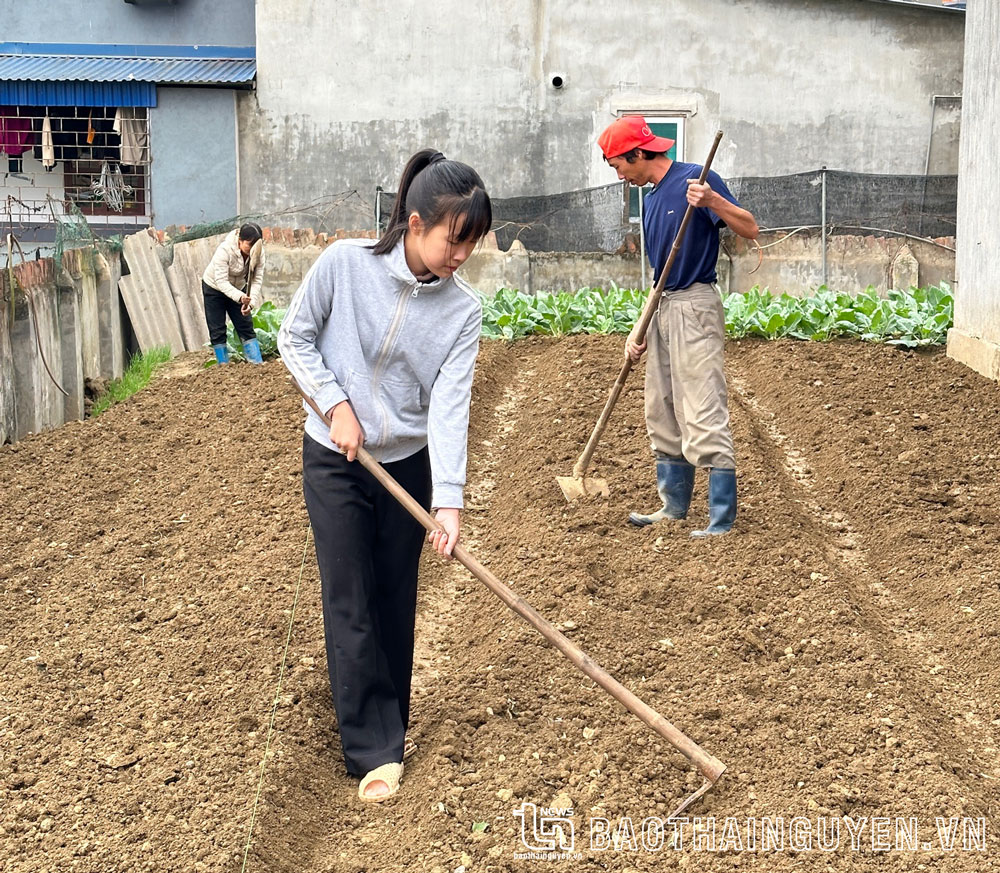 Lưu Ngọc Khuê - Nữ sinh chuyên Văn tài năng, giàu nghị lực