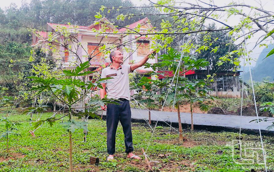 Nơi “một đời người, bốn đời cây”