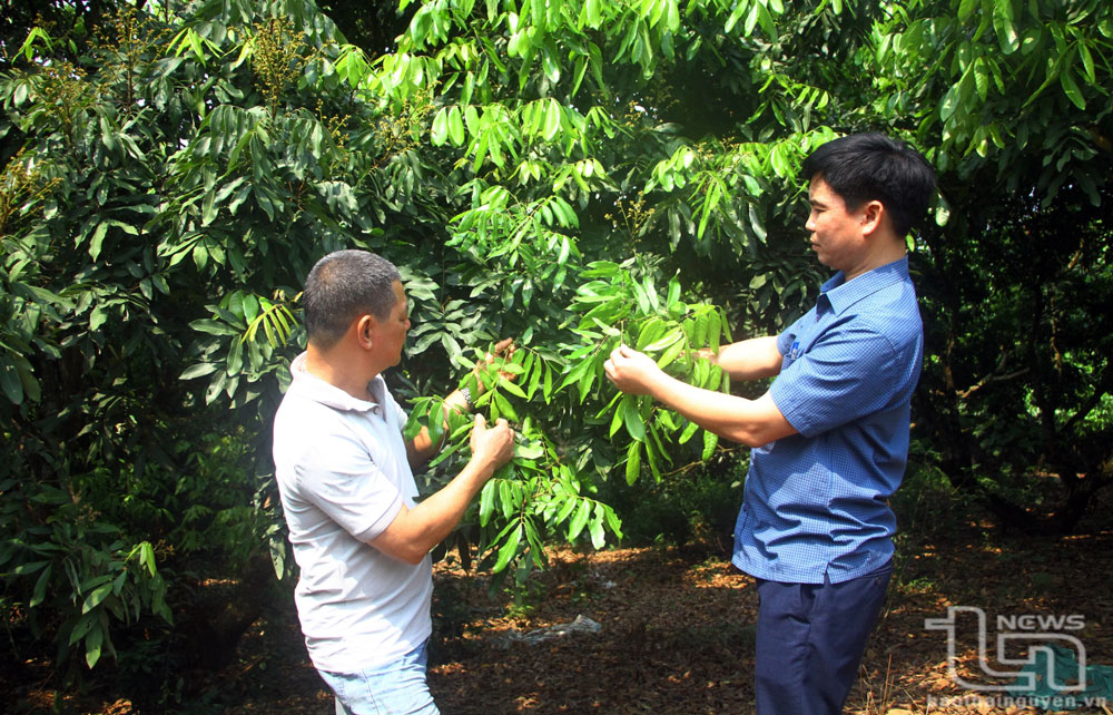 Những người bạn của bà con nông dân