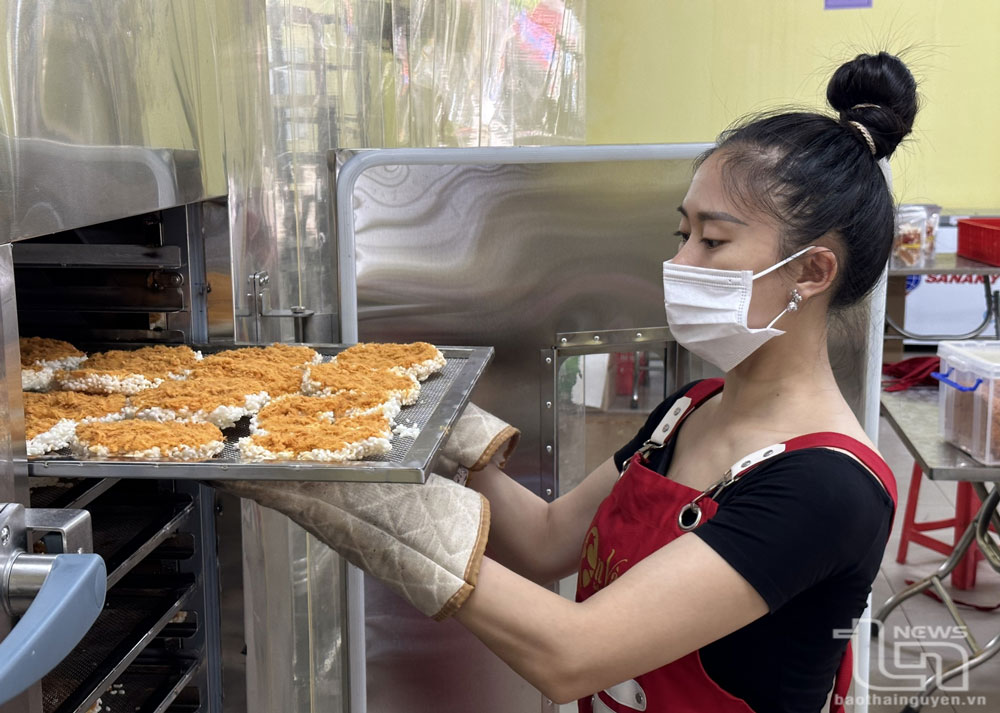 Phấn đấu trên 60% hợp tác xã nông nghiệp đạt loại tốt, khá