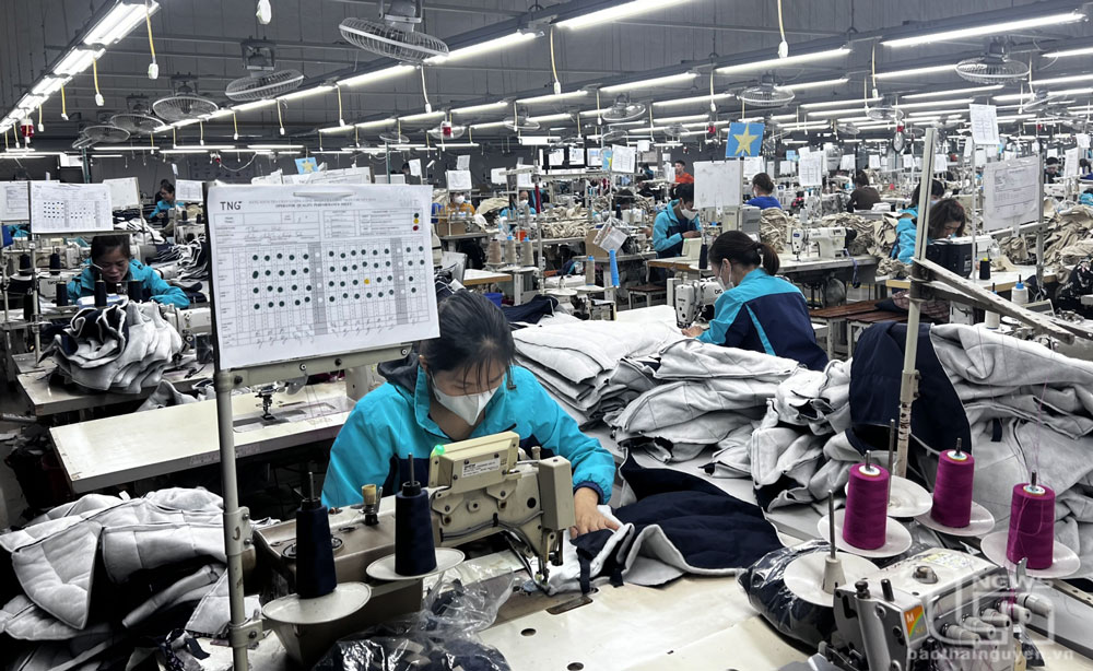 Doanh thu tiêu thụ của TNG tăng 12,7%