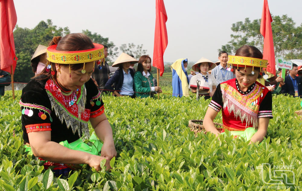 Huyện nông thôn mới Đồng Hỷ: Đích đến không còn xa