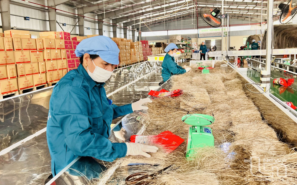 Vốn khuyến công tiếp sức doanh nghiệp
