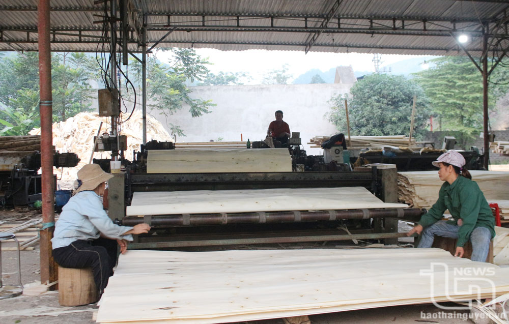 Đẩy mạnh trồng rừng, chế biến lâm sản là một trong những giải pháp giảm nghèo được huyện Định Hóa quan tâm chỉ đạo, hỗ trợ nhân dân thực hiện.