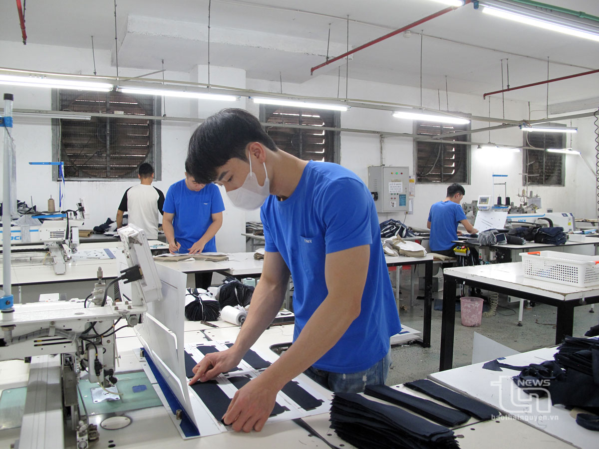 Phấn đấu toàn tỉnh có khoảng 11.000 doanh nghiệp đăng ký hoạt động