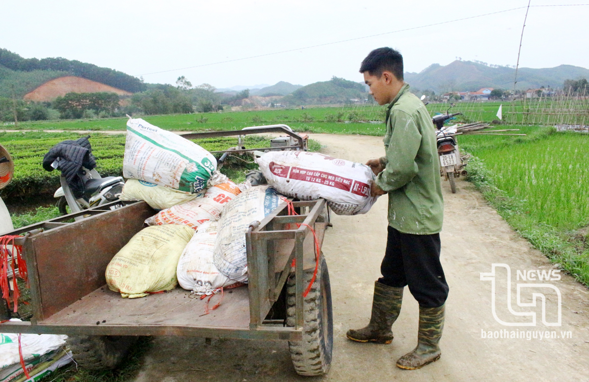 Diện mạo nông thôn mới nâng cao ở Nam Hòa