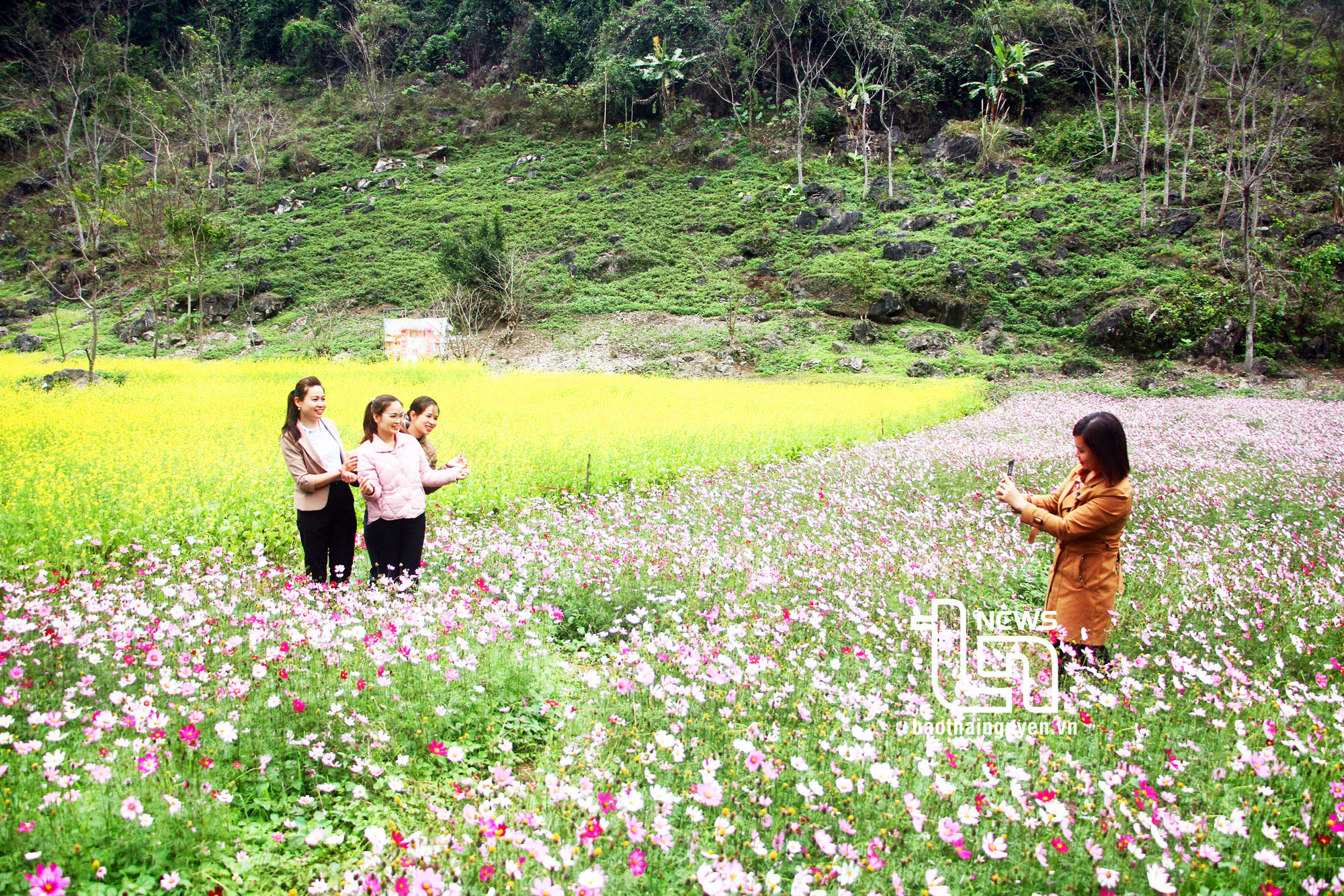 Có sức người đất cằn cũng nở hoa