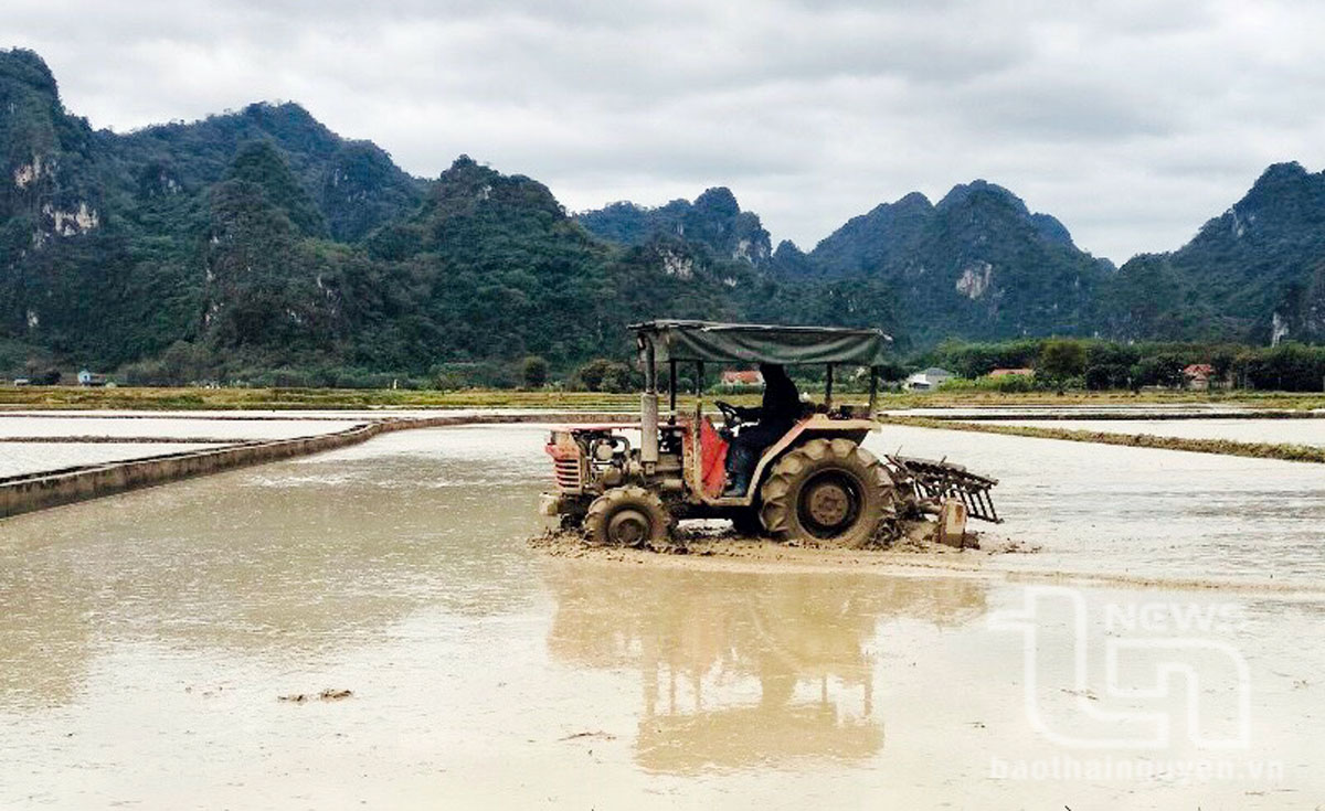 Về Dân Tiến ăn “cơm Phương Bá”