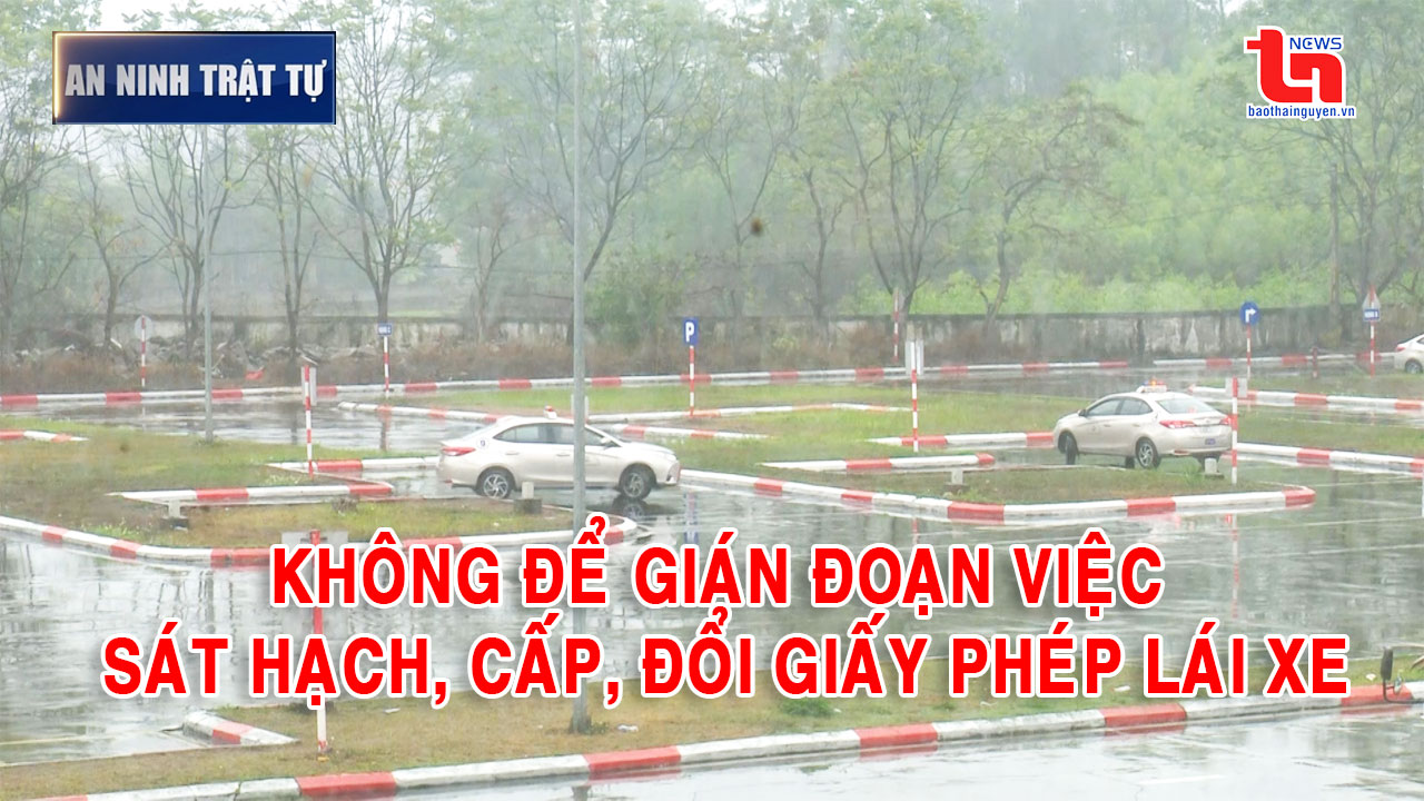 Bản tin ANTT tuần 1, tháng 3/2025: Không để gián đoạn việc sát hạch, cấp, đổi Giấy phép lái xe