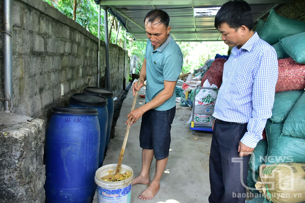 Từ giữa năm 2022, anh Lý Văn Tư, ở xóm Bình Ca, xã Minh Lập (Đồng Hỷ), đã tận dụng nguyên liệu sẵn có trong tự nhiên để sản xuất phân bón hữu cơ, thuốc bảo vệ thực vật cho cây chè.