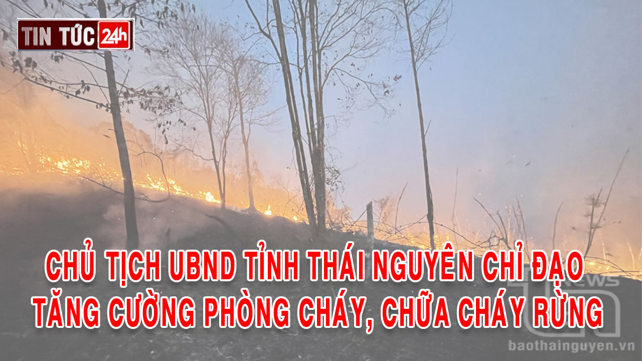 Tin tức 24h ngày 24/3/2025: Chủ tịch UBND tỉnh Thái Nguyên chỉ đạo tăng cường phòng cháy, chữa cháy rừng
