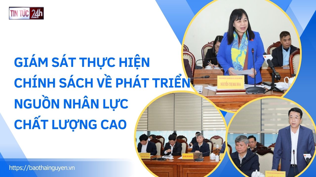 Tin tức 24h ngày 31/3/2025: Giám sát thực hiện chính sách về phát triển nguồn nhân lực chất lượng cao