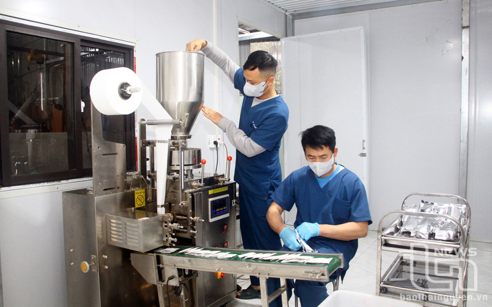 Khai thác tiềm năng phát triển cây dược liệu
