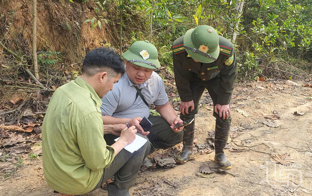 Cán bộ chuyên môn rà soát thiệt hại và điều tra nguyên nhân vụ cháy rừng tại xã Phú Đình, Định Hóa.