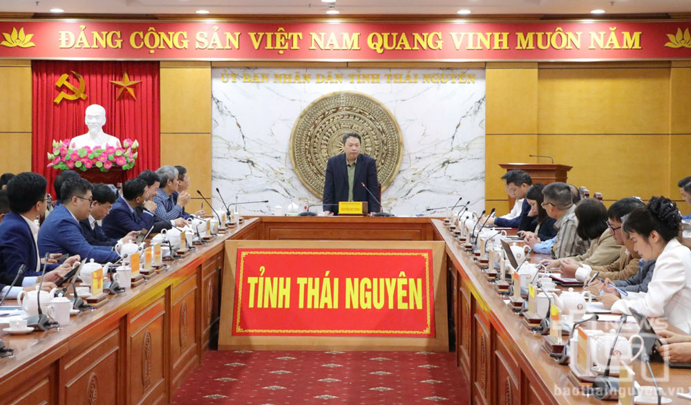 Xây dựng kế hoạch phát triển chăn nuôi theo chiến lược, tầm nhìn tổng thể
