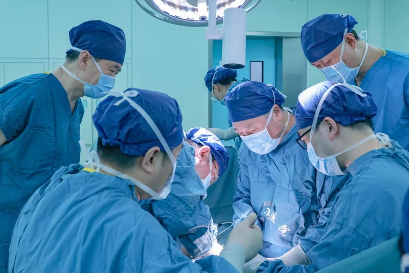 Trung Quốc: Ghép thận từ lợn sang người mang lại hy vọng cho hàng triệu người