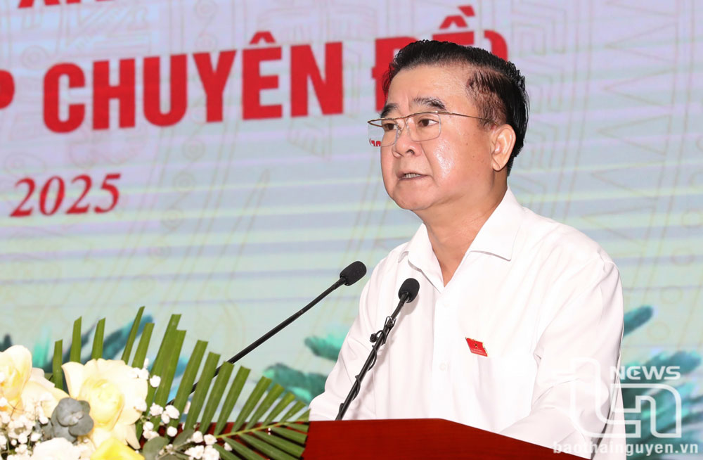Đồng chí Phó Chủ tịch Thường trực HĐND tỉnh Đỗ Đức Công trình bày nội dung được xem xét tại Kỳ họp.