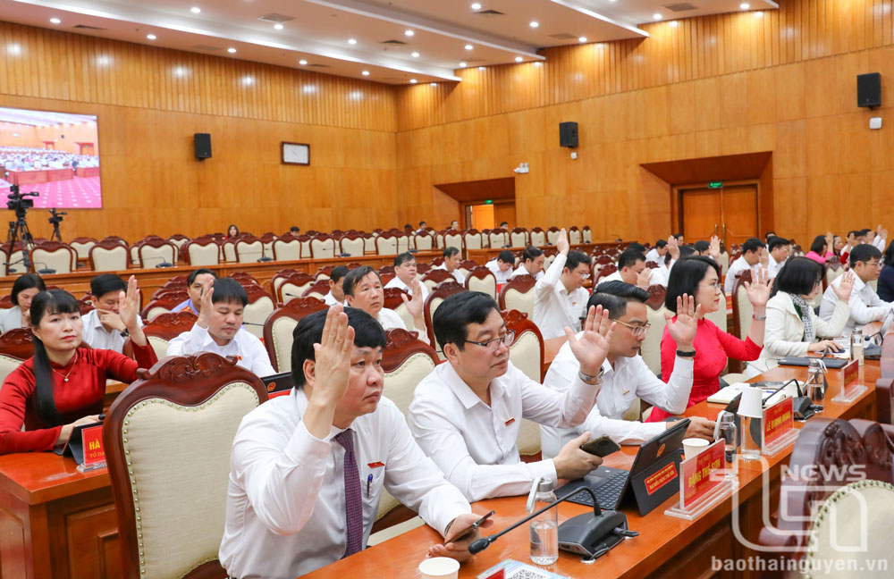 Các đại biểu HĐND tỉnh biểu quyết thông qua nghị quyết.