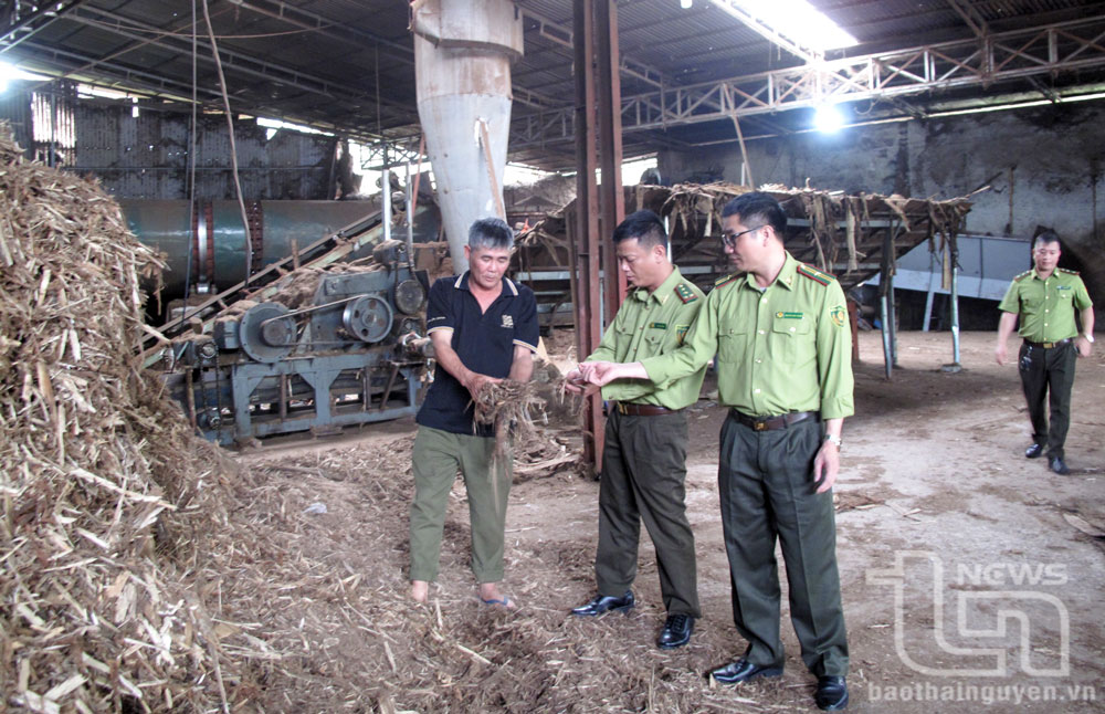 Nhiều gia đình ở huyện Phú Lương đã thu mua phế phẩm lâm nghiệp (vỏ cây gỗ, cành cây nghiền nhỏ) ép thành viên nén xuất khẩu sang các nước châu Âu.