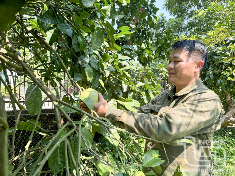 Kinh tế mạnh, nói dân sẽ tin và học theo