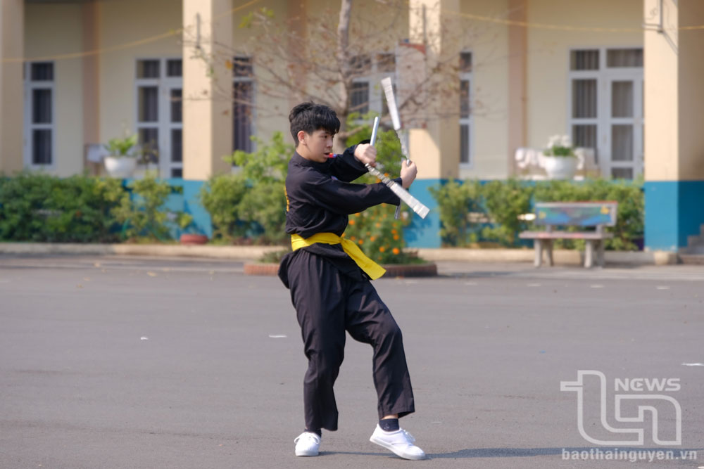 Phát triển võ cổ truyền Việt Nam trong trường học