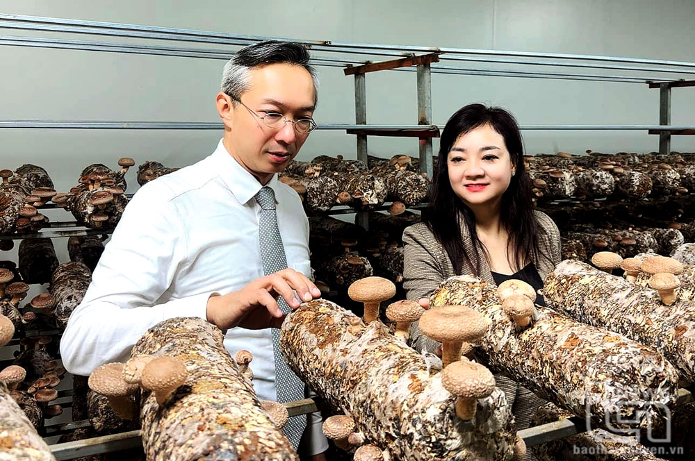 Khách hàng đến từ Nhật Bản khảo sát cơ sở sản xuất nấm của Công ty TNHH Công nghệ sinh học nấm Phú Gia để ký kết hợp tác.