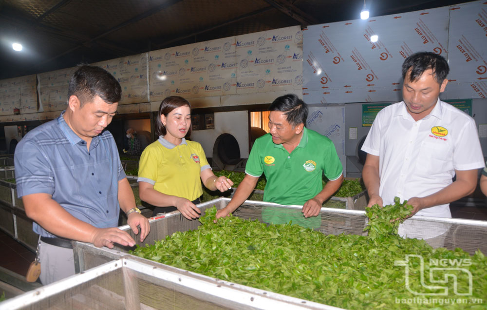Nông dân Phú Lương góp sức xây dựng quê hương