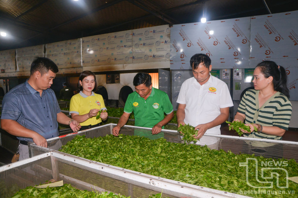 Phú Lương: Hỗ trợ vốn cho trên 4.700 hộ nông dân