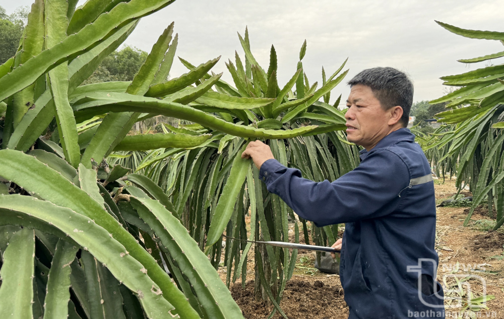 Người đàn ông '2 trong 1'