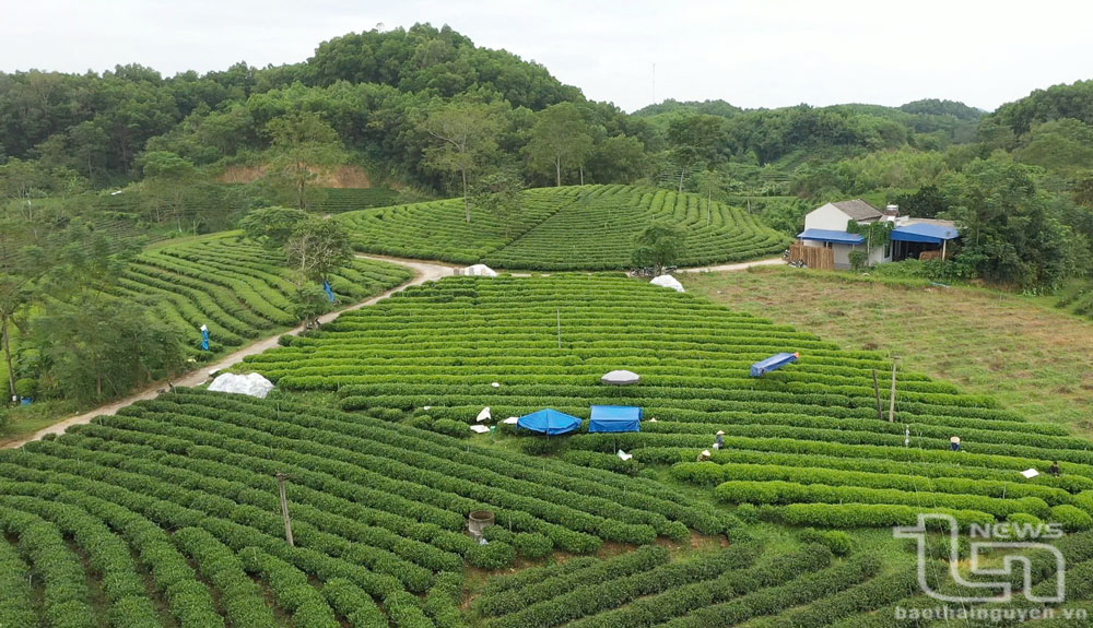 Phú Lương đủ điều kiện đề nghị công nhận đạt chuẩn nông thôn mới năm 2024