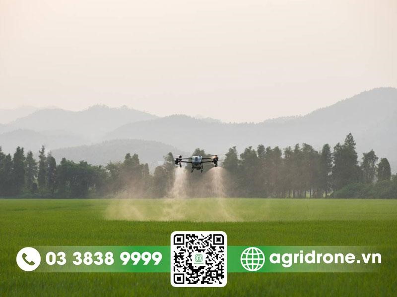 Mách bạn cách nhận pin T50 miễn phí trong vụ Hè Thu 2025