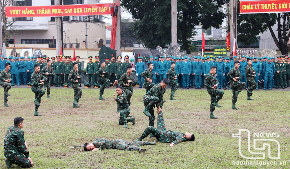 Biểu diễn võ thuật tại Lễ ra quân huấn luyện năm 2025.