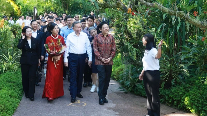 Singapore đặt tên hoa lan theo tên Tổng Bí thư Tô Lâm và Phu nhân