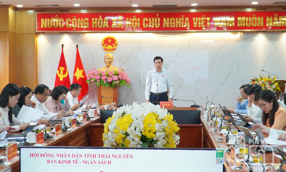 Ban Kinh tế và Ngân sách HĐND tỉnh chủ trì thẩm tra 7 dự thảo tờ trình, nghị quyết.